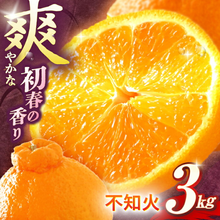 【数量限定】不知火(しらぬい) 袋掛け 3kg【おだ農園】[OAG004] / しらぬい オレンジ ミカン 蜜柑 フルーツ 果物 甘い 数量限定 長崎県産 柑橘 デザート