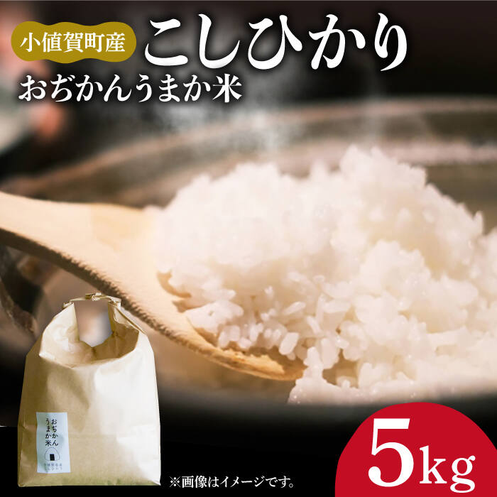 【令和7年度産】【5kg】 米 お米 おぢかんうまか米（小値賀町産こしひかり 5kg ・精白米） [DAB014] 長崎 五島列島 小値賀 国産 コシヒカリ こしひかり 米 お米 白米 ご飯 精米 お弁当 常温