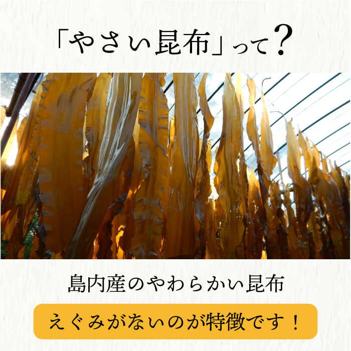 【ふるさと納税】やさい 昆布ドレッシング 150ml 6本 《factory333》 [DAS012] 長崎 五島列島 小値賀 ドレッシング ソース 調味料 ナンプラー タレ ダシ 出汁 旨味 昆布 海藻 昆布出汁 昆布ダシ 野菜 サラダ 常温 15000 15000円 サムネイル3