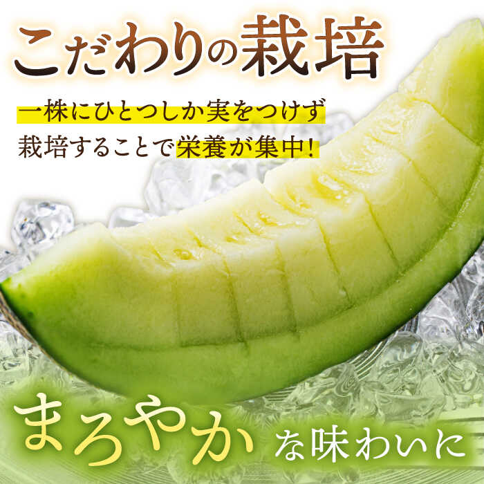 【ふるさと納税】【2025年先行予約】アールスメロン 約4kg（2玉）果物 12月初旬～中旬 発送 ふるさと納税 メロン めろん 果物 フルーツ 五島列島《小値賀町》【ながさき西海農協小値賀地区園芸部会】[DAT002] 数量限定 新着 年内発送 サムネイル2