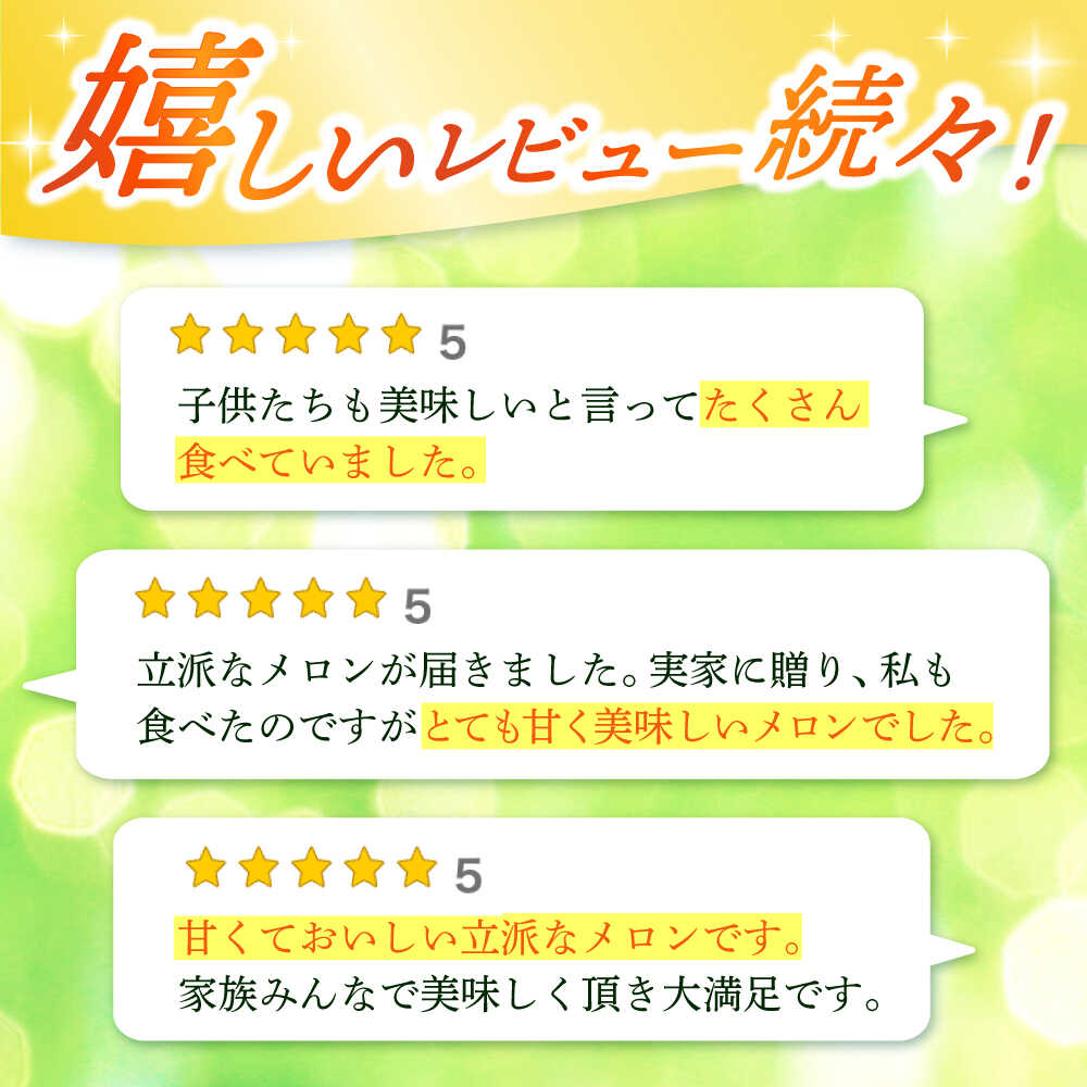 【ふるさと納税】【2025年先行予約】アールスメロン 約4kg（2玉）果物 12月初旬～中旬 発送 ふるさと納税 メロン めろん 果物 フルーツ 五島列島《小値賀町》【ながさき西海農協小値賀地区園芸部会】[DAT002] 数量限定 新着 年内発送 サムネイル3