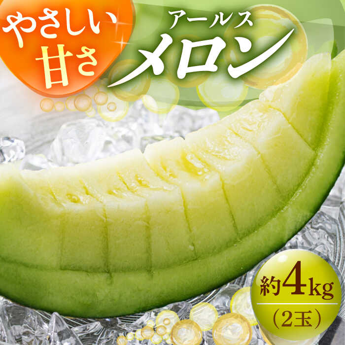 【2025年先行予約】アールスメロン 約4kg（2玉）果物 12月初旬～中旬 発送 ふるさと納税 メロン めろん 果物 フルーツ 五島列島《小値賀町》【ながさき西海農協小値賀地区園芸部会】[DAT002] 数量限定 新着 年内発送