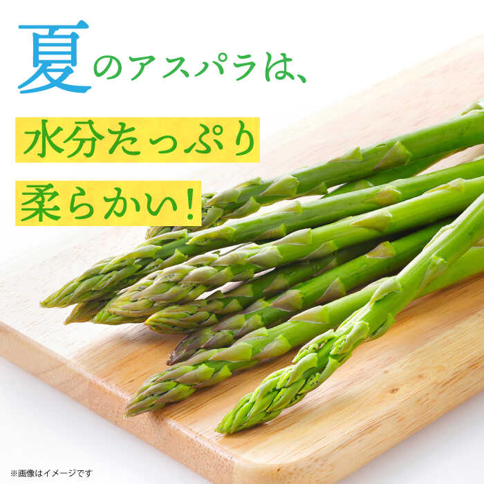 【ふるさと納税】【先行予約】アスパラガス (夏芽) 約1kg 【2026年7月初旬〜9月中旬発送分】《小値賀町》【ながさき西海農協小値賀地区園芸部会】 [DAT005] アスパラ アスパラガス あすぱらがす 野菜 やさい 冷蔵 夏野菜 アスパラガス 1万円 以上 新着 - 画像2