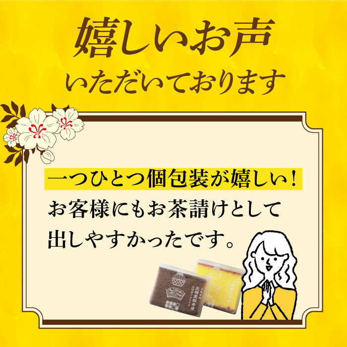 【ふるさと納税】【小分けで食べやすい】カット包装カステラ 2箱入 （プレーン・チョコレート） 小値賀町 【株式会社文明堂総本店】 かすてら 長崎カステラ 菓子 お菓子 和菓子 常温 贈答 カット 袋 個包装 ギフト 贈り物 高評価 人気 [DBF014] - 画像2