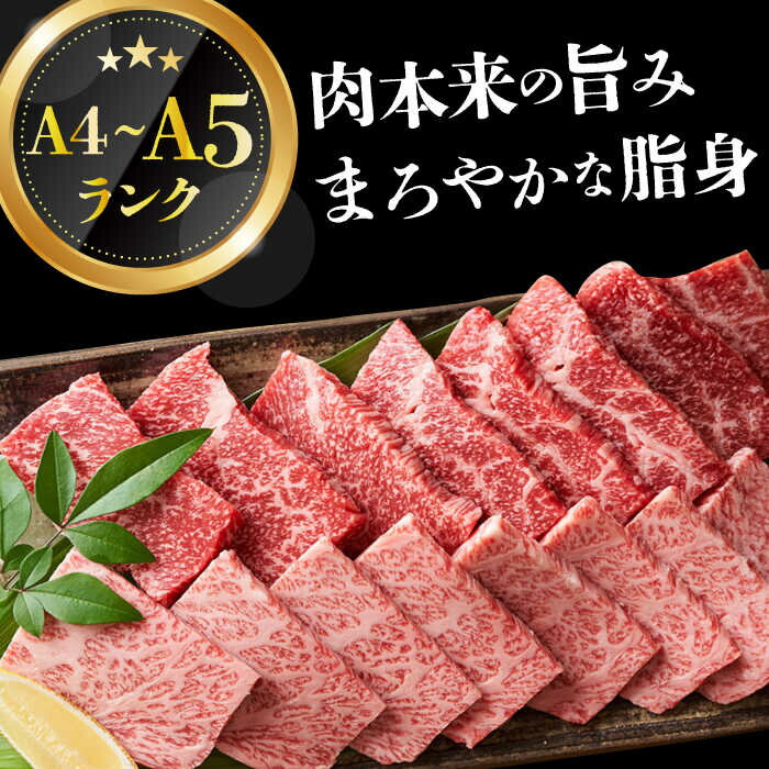 【ふるさと納税】【全6回定期便】【A4〜A5】長崎和牛焼肉用　1kg（500g×2p）【株式会社 MEAT PLUS】[DBS039] サムネイル3
