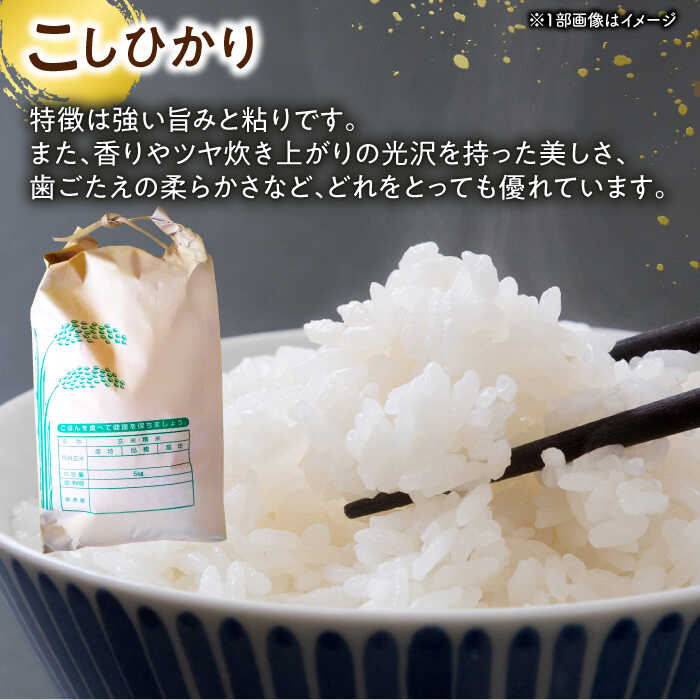 【ふるさと納税】長崎県産こしひかり5kg【酒のタナカ】[QAM018] - 画像2