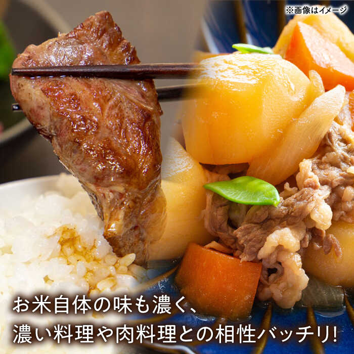 【ふるさと納税】長崎県産こしひかり5kg【酒のタナカ】[QAM018] - 画像3