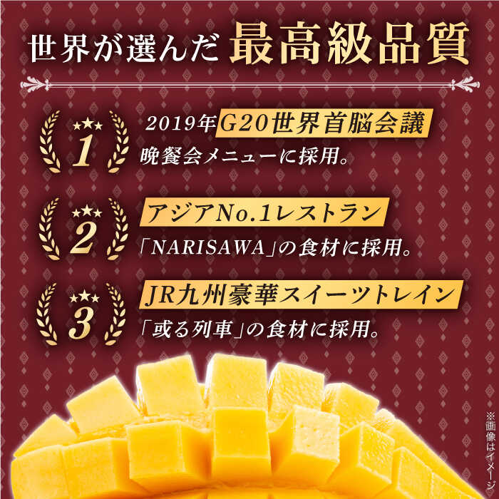 【ふるさと納税】【先行予約】「心地よい至福の果肉感！」完熟プレミアム プリンセス マンゴー 3L×1玉 【堀内フルーツファーム】 [QAT006] 完熟 マンゴー 果物 フルーツ デザート ギフト 贈り物 南国 トロピカル サラダ シャーベット ビタミン 果実 プロ 1万8千円 18000円 サムネイル2