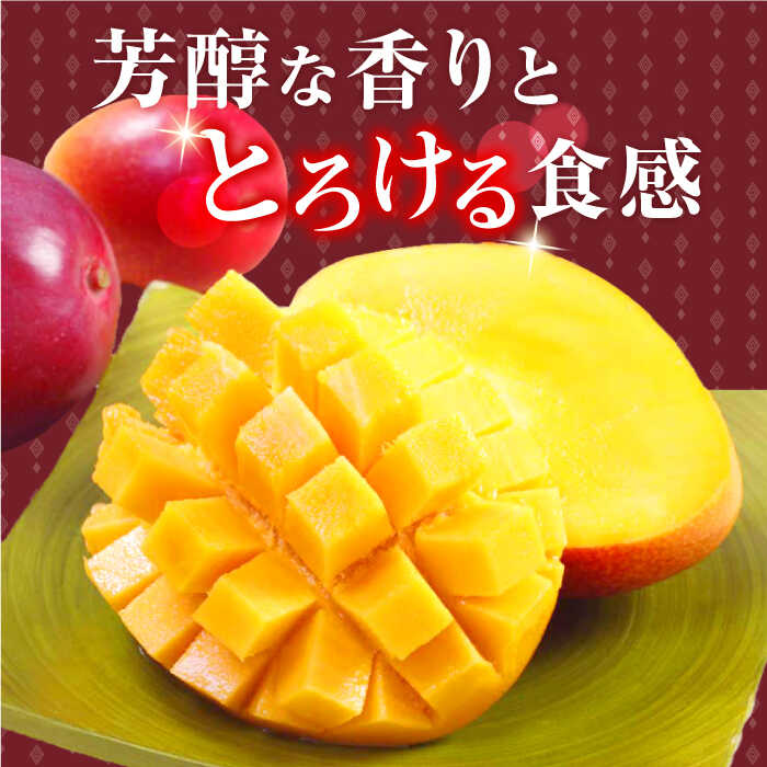 【ふるさと納税】【先行予約】「心地よい至福の果肉感！」完熟プレミアム プリンセス マンゴー 3L×1玉 【堀内フルーツファーム】 [QAT006] 完熟 マンゴー 果物 フルーツ デザート ギフト 贈り物 南国 トロピカル サラダ シャーベット ビタミン 果実 プロ 1万8千円 18000円 サムネイル3