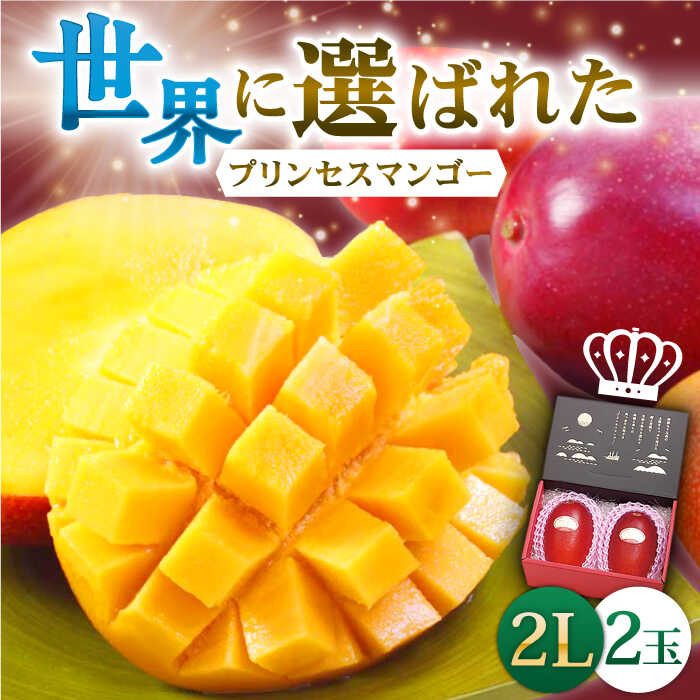【先行予約】「心地よい至福の果肉感！」完熟プレミアム プリンセス マンゴー 2L×2玉 【堀内フルーツファーム】 [QAT007] 完熟 マンゴー 果物 フルーツ デザート ギフト 贈り物 南国 トロピカル サラダ シャーベット ビタミン 果実 プロ 26000円 2万6千円