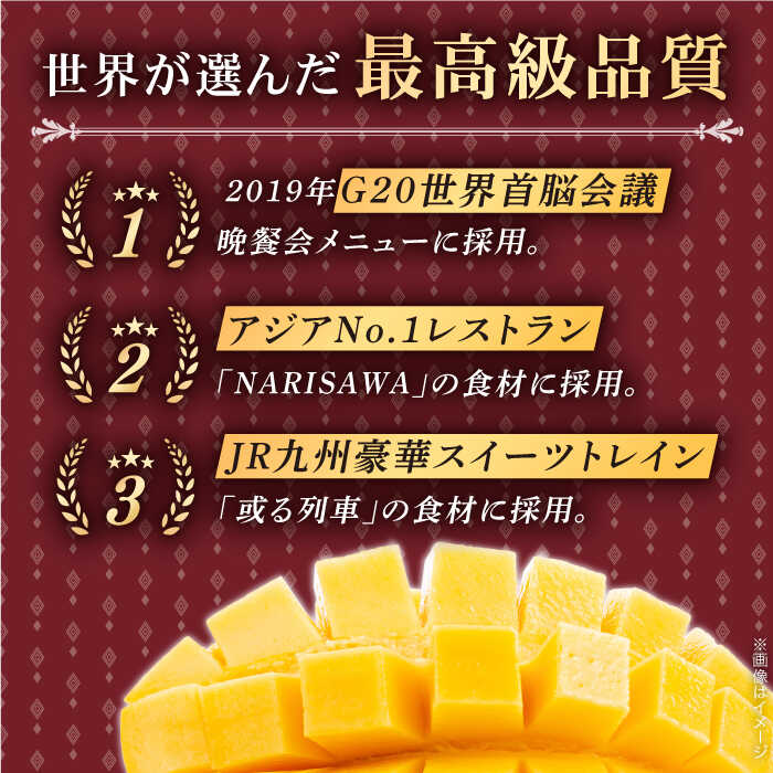 【ふるさと納税】【冷凍】プリンセスマンゴー 約1kg[QAT013] プリンセス マンゴー ぷりんせすまんごー 完熟 マンゴー 高品質マンゴー まんごー フルーツ 果物 フルーツ マンゴー 人気 12,000円 1万2千円 サムネイル2