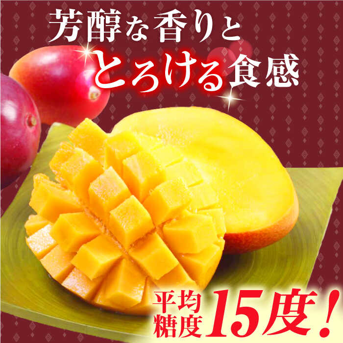 【ふるさと納税】【冷凍】プリンセスマンゴー 約1kg[QAT013] プリンセス マンゴー ぷりんせすまんごー 完熟 マンゴー 高品質マンゴー まんごー フルーツ 果物 フルーツ マンゴー 人気 12,000円 1万2千円 サムネイル3