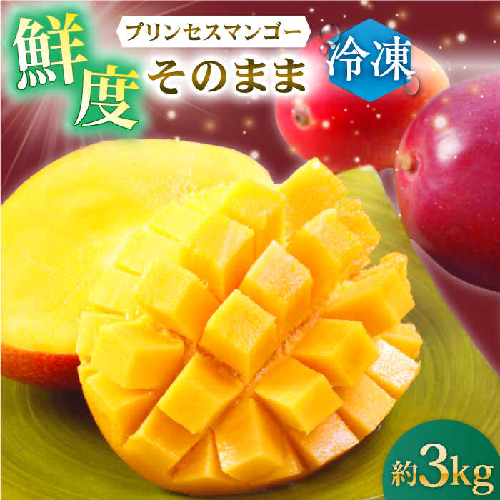 【冷凍】プリンセスマンゴー 約3kg[QAT014]
