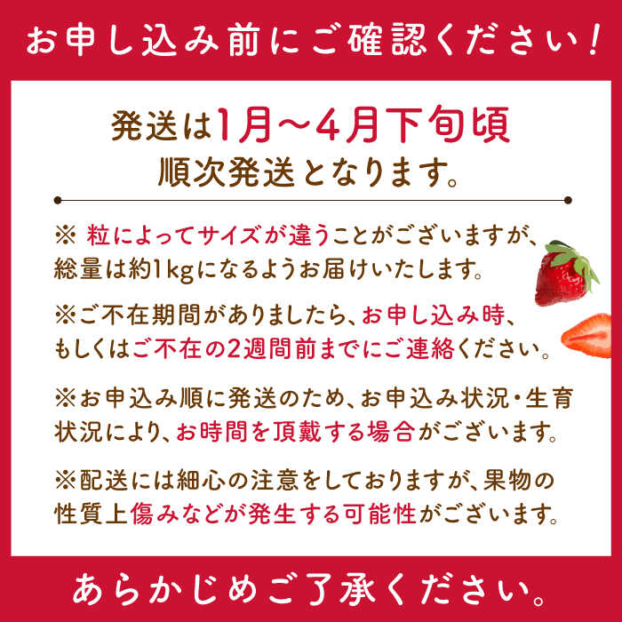 【ふるさと納税】【先行予約・1月発送開始】佐々町産 いちご 「ゆめのか」約1.0kg (250g×4パック)【市丸農園 いちご研究室】 [QBF001] イチゴ 甘い フルーツ 果物 苺 パフェ ケーキ 長崎県産 10000 1万円 サムネイル2