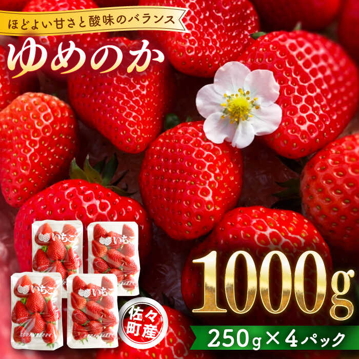【先行予約・1月発送開始】佐々町産 いちご 「ゆめのか」約1.0kg (250g×4パック)【市丸農園 いちご研究室】 [QBF001] イチゴ 甘い フルーツ 果物 苺 パフェ ケーキ 長崎県産 10000 1万円