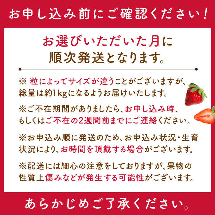 【ふるさと納税】【先行予約・全2回定期便】佐々町産 いちご 「ゆめのか」約1.0kg (250g×4パック)/回 （総量計2.0kg）【市丸農園 いちご研究室】 [QBF002] イチゴ 甘い フルーツ 果物 苺 パフェ ケーキ 長崎県産 サムネイル2