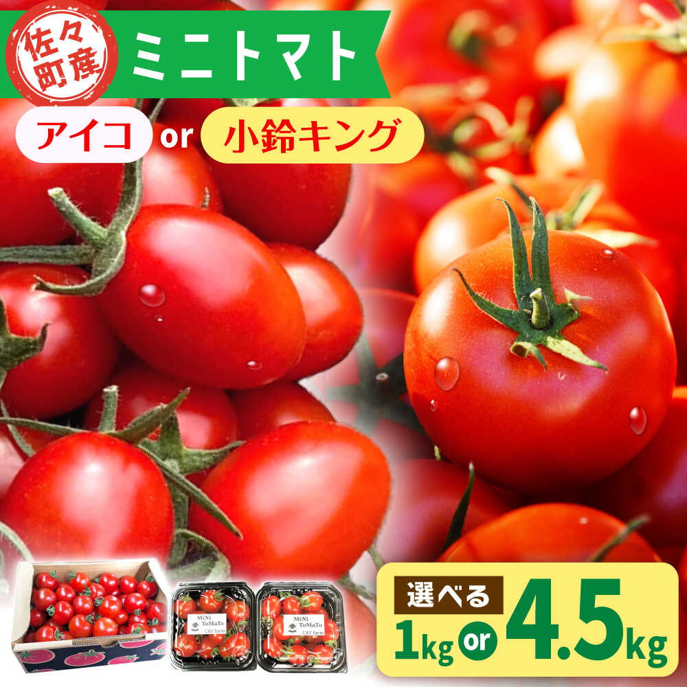 【先行予約】【選べる容量】【甘くてジューシー】ミニトマト アイコ or 小鈴キング 1kg or 4.5kg【C&T farm】 [QBG001]トマト フルーツトマト アイコトマト 野菜 トマトジュース 8000円 8千円 1万円以下 ミニトマト