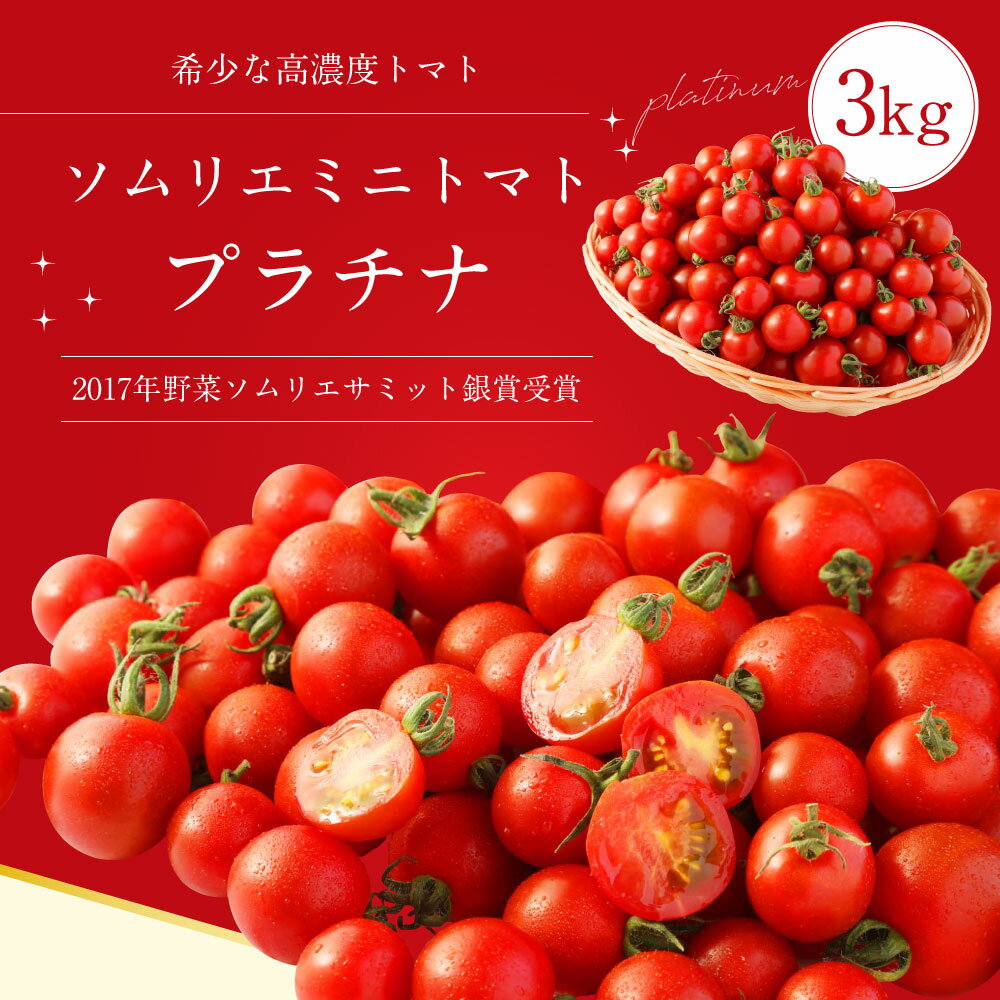 【ふるさと納税】熊本県 ソムリエミニトマト プラチナ 3kg ソムリエ トマト とまと ミニトマト 野菜 やさい 旬 新鮮 希少 高濃度 食品 国産 熊本県産 冷蔵 送料無料 【2025年12月下旬発送開始】 - 画像2