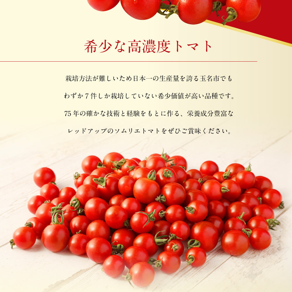 【ふるさと納税】熊本県 ソムリエミニトマト プラチナ 3kg ソムリエ トマト とまと ミニトマト 野菜 やさい 旬 新鮮 希少 高濃度 食品 国産 熊本県産 冷蔵 送料無料 【2025年12月下旬発送開始】 - 画像3