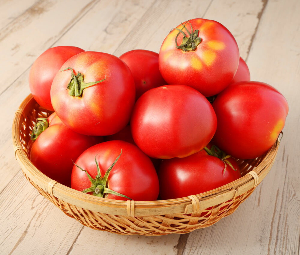 【ふるさと納税】熊本県 ソムリエトマト 2.6kg ソムリエ トマト とまと 野菜 やさい 旬 新鮮 フルーツ 大玉 食品 熊本県産 冷蔵 送料無料 【2026年2月上旬発送開始】 - 画像3