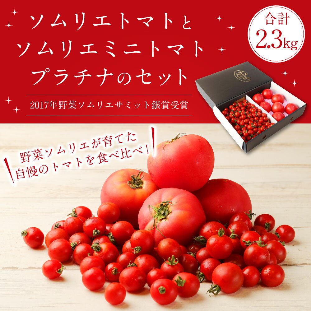 【ふるさと納税】【食べ比べ】熊本県 ソムリエトマト1.3kgとソムリエミニトマト プラチナ1kgのセット 合計2.3kg ソムリエ トマト とまと 野菜 旬 新鮮 ミニトマト セット 食べ比べ 大玉 熊本県 冷蔵 送料無料 【2026年2月上旬発送開始】 - 画像2