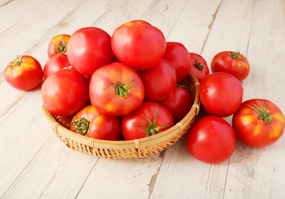 【ふるさと納税】熊本県 ソムリエトマト 4kg×2箱 合計8kg ソムリエ トマト とまと 野菜 旬 新鮮 フルーツ 大玉 熊本県 冷蔵 送料無料 【2026年2月上旬発送開始】 - 画像3