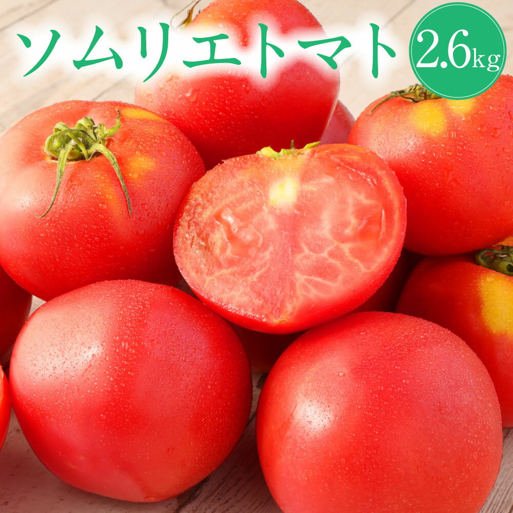 熊本県 ソムリエトマト 2.6kg ソムリエ トマト とまと 野菜 やさい 旬 新鮮 フルーツ 大玉 食品 熊本県産 冷蔵 送料無料 【2026年2月上旬発送開始】
