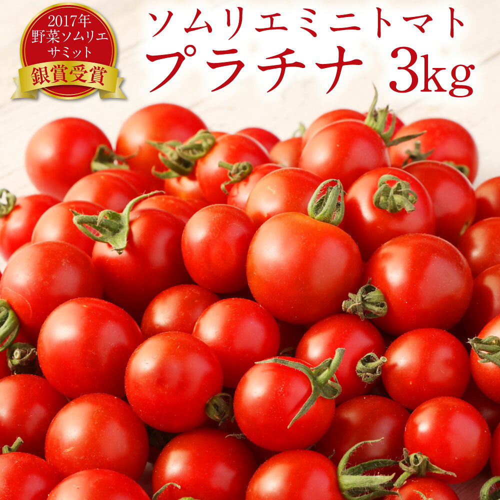 熊本県 ソムリエミニトマト プラチナ 3kg ソムリエ トマト とまと ミニトマト 野菜 やさい 旬 新鮮 希少 高濃度 食品 国産 熊本県産 冷蔵 送料無料 【2025年12月下旬発送開始】