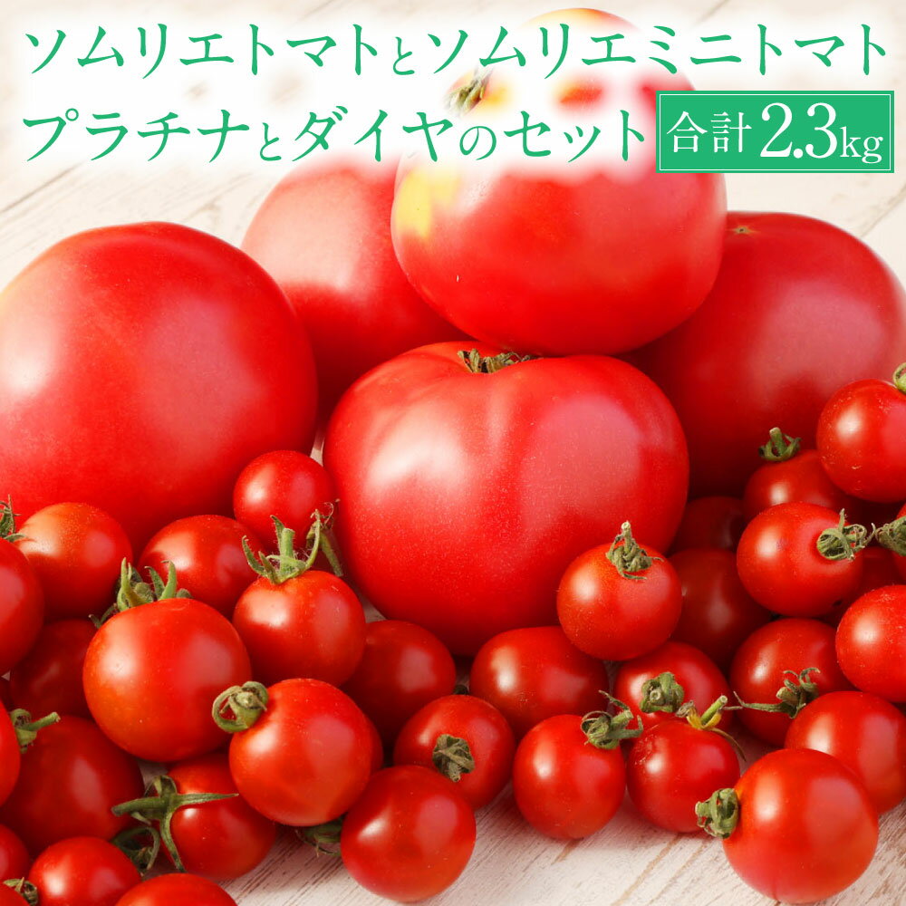 【食べ比べ】熊本県 ソムリエトマト1.3kgとソムリエミニトマト プラチナ500gとダイヤ500gのセット 合計2.3kg とまと トマト 野菜 やさい 食品 セット ソムリエ 国産 九州 熊本県産 冷蔵 送料無料 【2026年2月上旬発送開始】