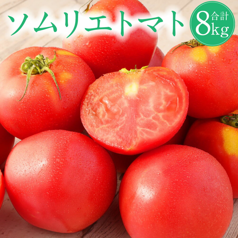 熊本県 ソムリエトマト 4kg×2箱 合計8kg ソムリエ トマト とまと 野菜 旬 新鮮 フルーツ 大玉 熊本県 冷蔵 送料無料 【2026年2月上旬発送開始】