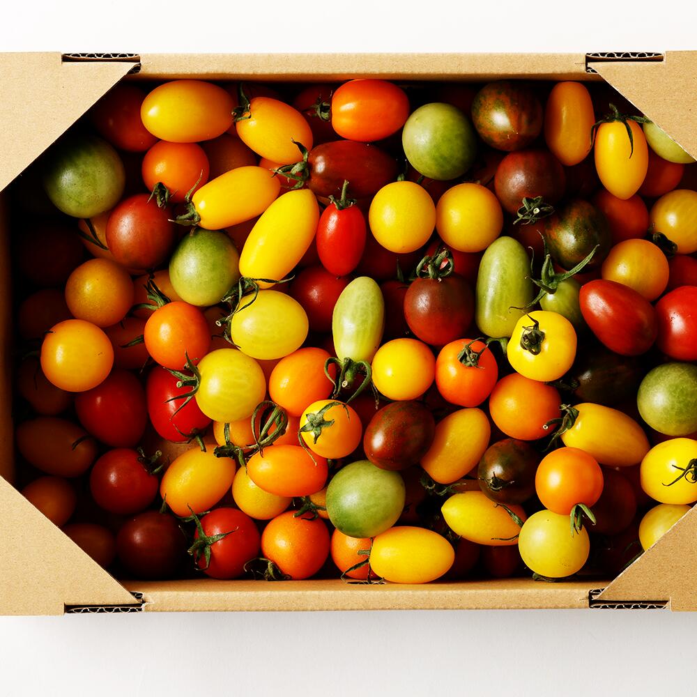 【ふるさと納税】カラフルミニトマト1.5kg トマト 野菜 ミニトマト とまと お取り寄せ 冷蔵 青果 九州 熊本県 送料無料 - 画像2