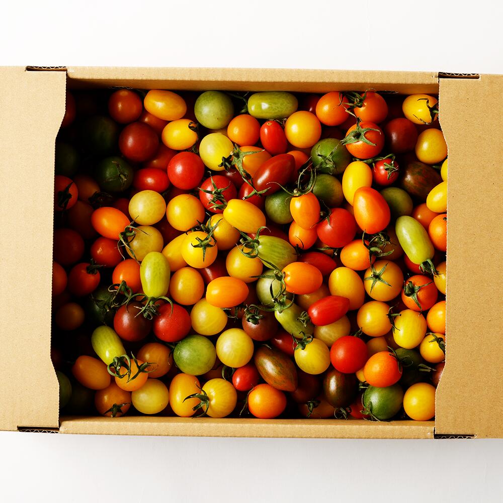 【ふるさと納税】カラフルミニトマト3.0kg トマト 野菜 ミニトマト とまと お取り寄せ 冷蔵 青果 九州 熊本県 送料無料 - 画像2