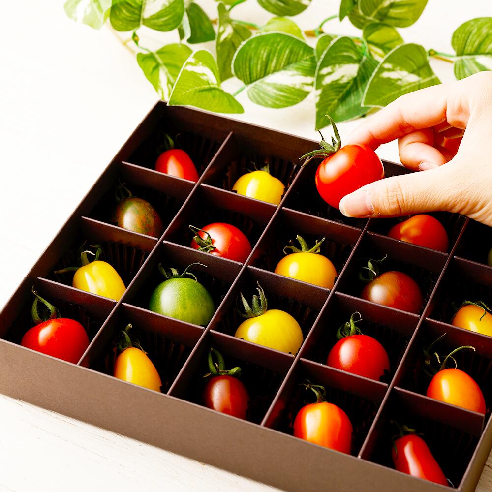 【ふるさと納税】20色カラフルミニトマト 20粒 トマト 野菜 とまと お取り寄せ 冷蔵 箱付き ギフト 贈り物 ミニトマト 青果 九州 熊本県 送料無料 - 画像3