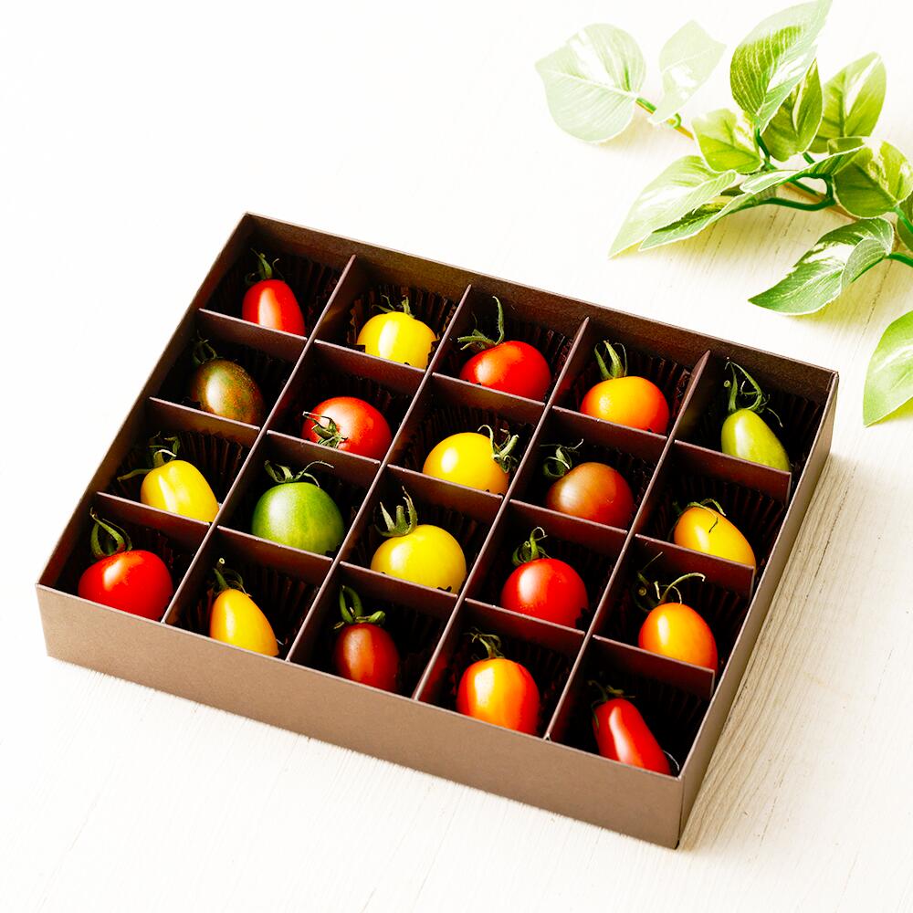 【ふるさと納税】20色カラフルミニトマト 20粒 トマト 野菜 とまと お取り寄せ 冷蔵 箱付き ギフト 贈り物 ミニトマト 青果 九州 熊本県 送料無料 - 画像2