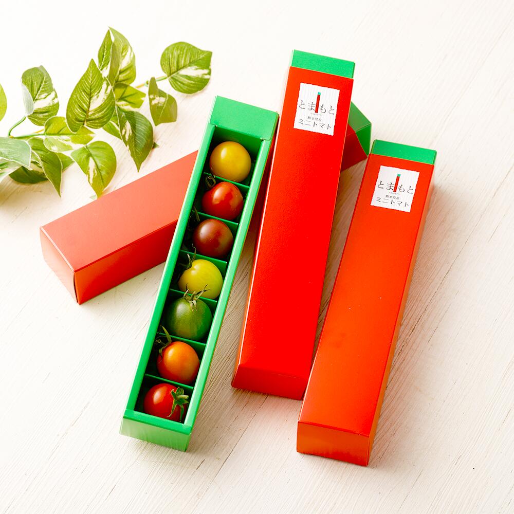 7色カラフルミニトマト 7粒×4箱 28粒 トマト 野菜 とまと お取り寄せ 冷蔵 箱付き ギフト 贈り物 ミニトマト 青果 九州 熊本県 送料無料