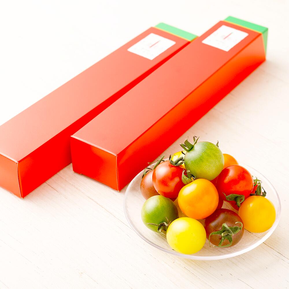 【ふるさと納税】7色カラフルミニトマト 7粒×4箱 28粒 トマト 野菜 とまと お取り寄せ 冷蔵 箱付き ギフト 贈り物 ミニトマト 青果 九州 熊本県 送料無料 - 画像2