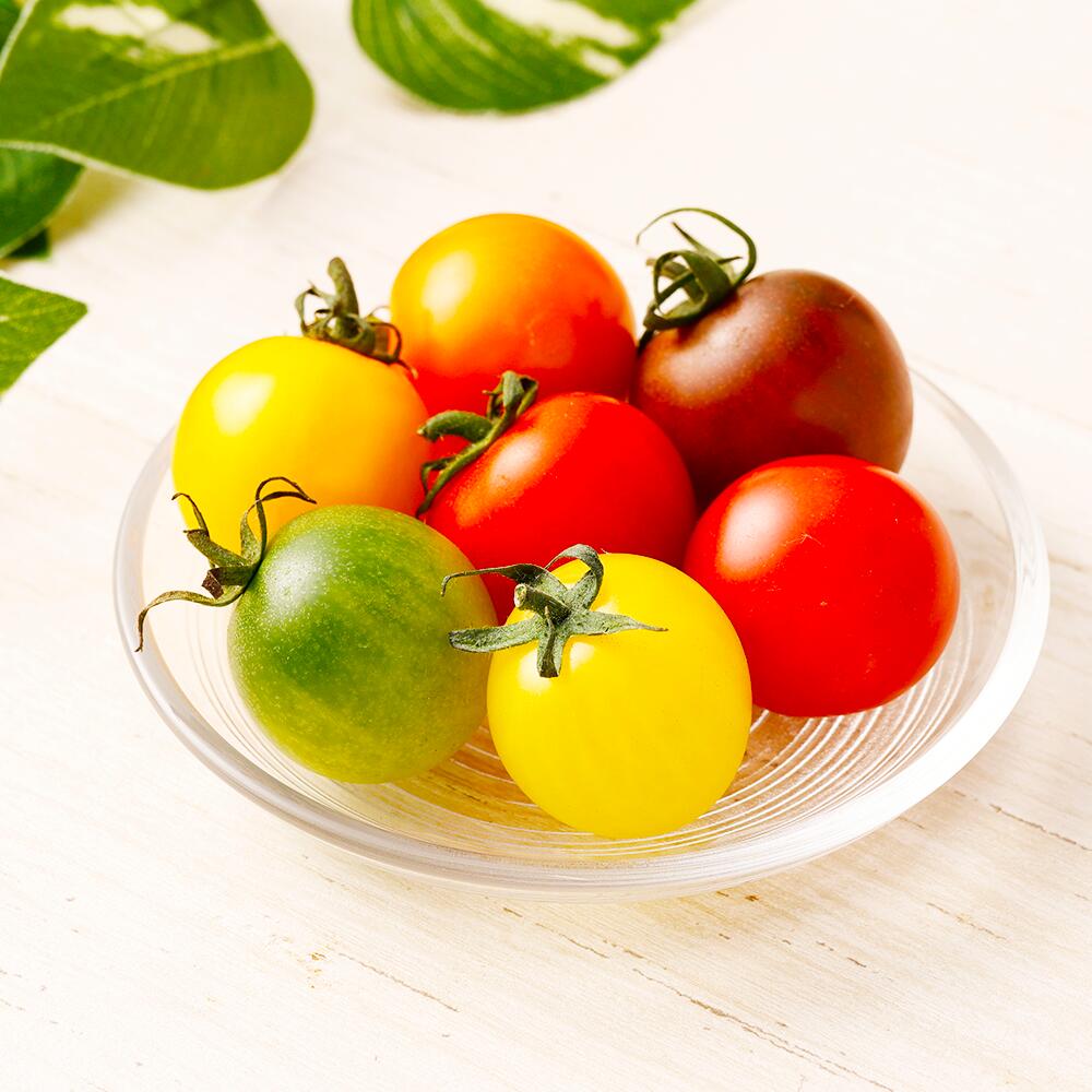 【ふるさと納税】7色カラフルミニトマト 7粒×4箱 28粒 トマト 野菜 とまと お取り寄せ 冷蔵 箱付き ギフト 贈り物 ミニトマト 青果 九州 熊本県 送料無料 - 画像3