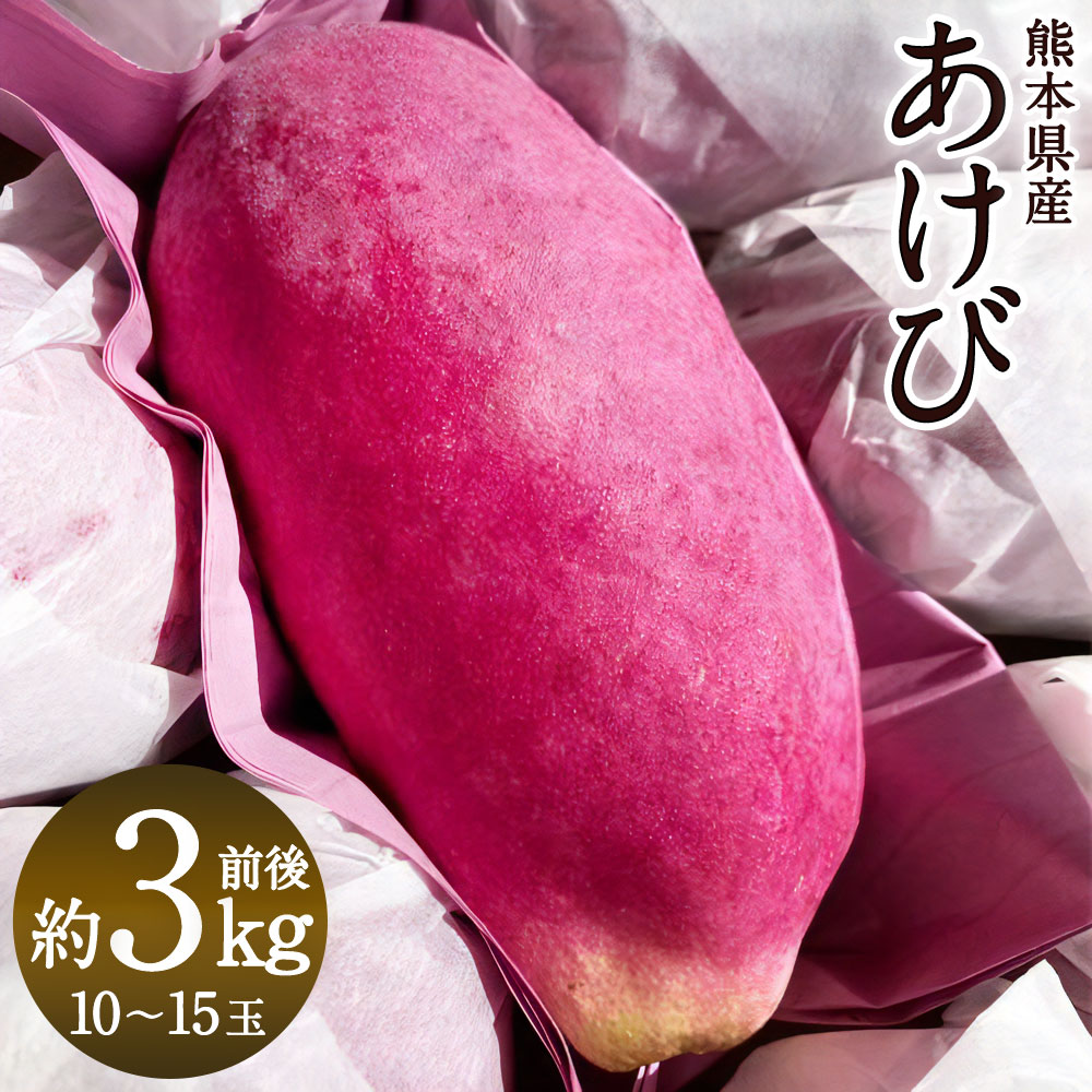 熊本県産 あけび 約3キロ前後 【2026年10月上旬発送開始】 あけび フルーツ 果実 果物 くだもの 約3kg 料理 生食 冷蔵 九州 熊本県 送料無料