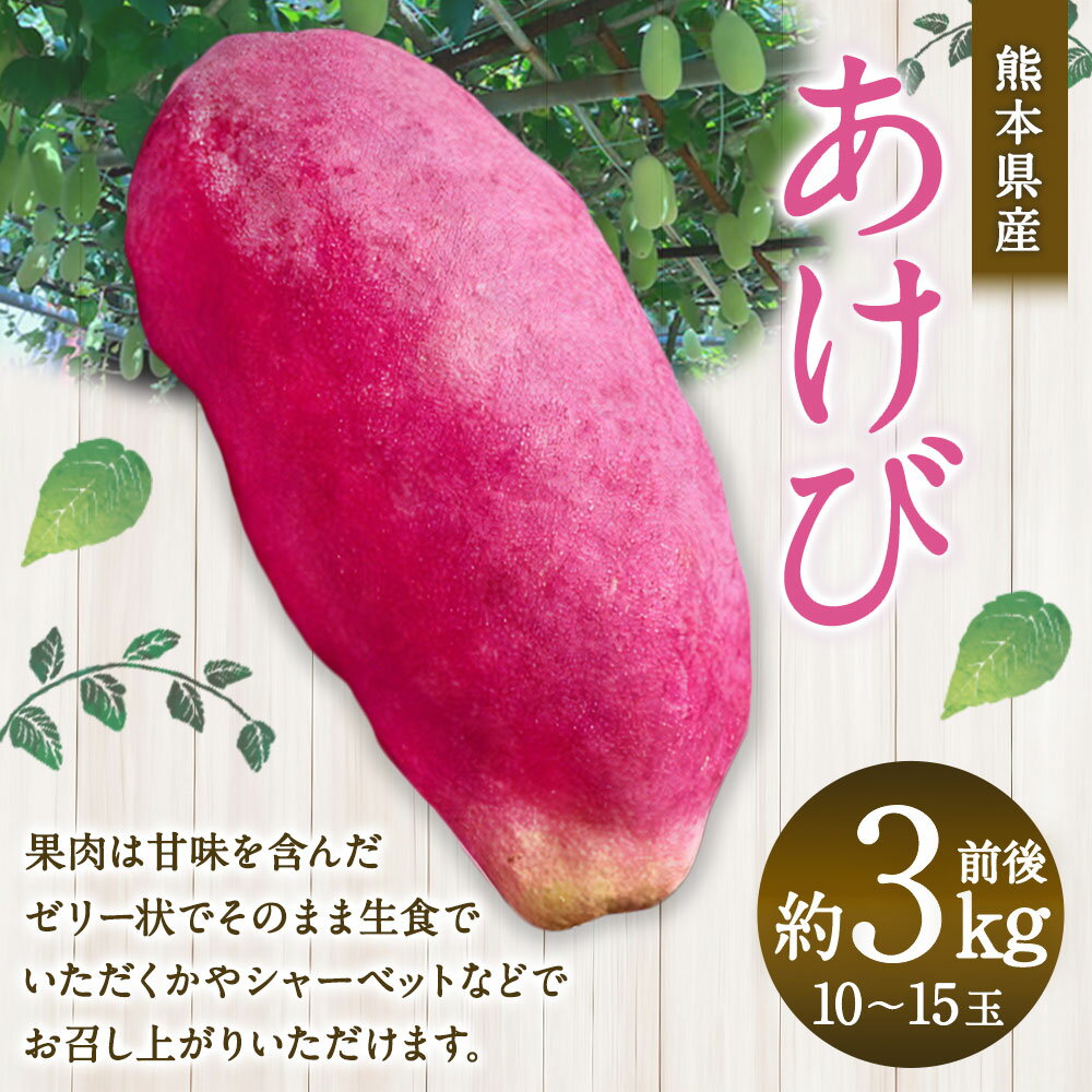 【ふるさと納税】熊本県産 あけび 約3キロ前後 【2026年10月上旬発送開始】 あけび フルーツ 果実 果物 くだもの 約3kg 料理 生食 冷蔵 九州 熊本県 送料無料 サムネイル2
