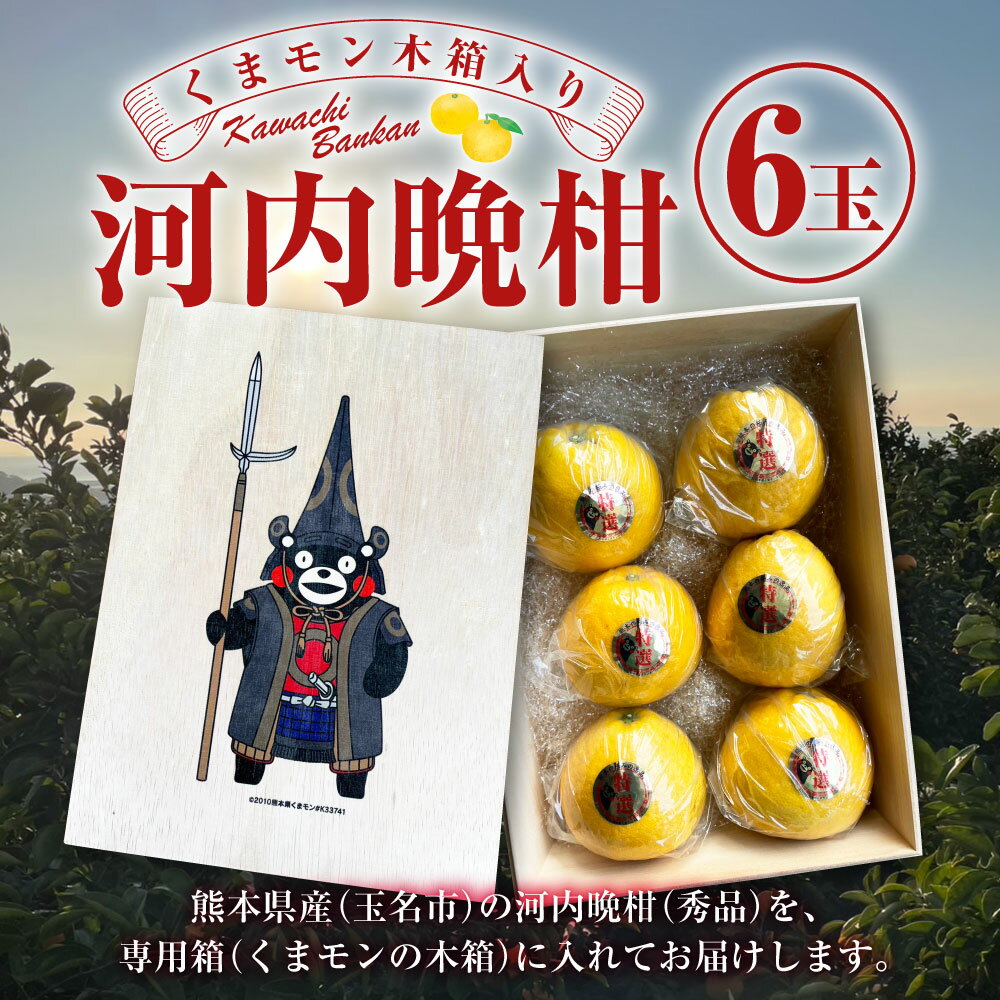 【ふるさと納税】くまモン 木箱入り 河内晩柑 6玉 【2026年4月上旬発送開始】 化粧箱 木箱 フルーツ 果物 かわちばんかん 国産 常温 九州 熊本県 送料無料 サムネイル2
