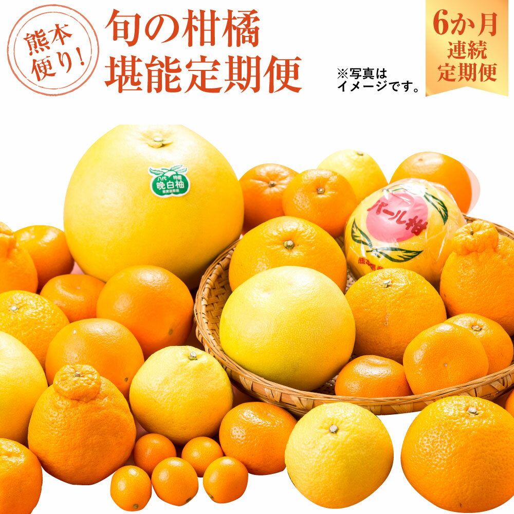 熊本便り！旬の柑橘堪能定期便 晩白柚 完熟みかん キンカン ネーブルオレンジ スイートスプリング はるか パール柑 デコポン デコポンゼリーDX ハウスみかん 果物 フルーツ 柑橘 贈答用 定期便 【2026年1月より6か月連続発送】