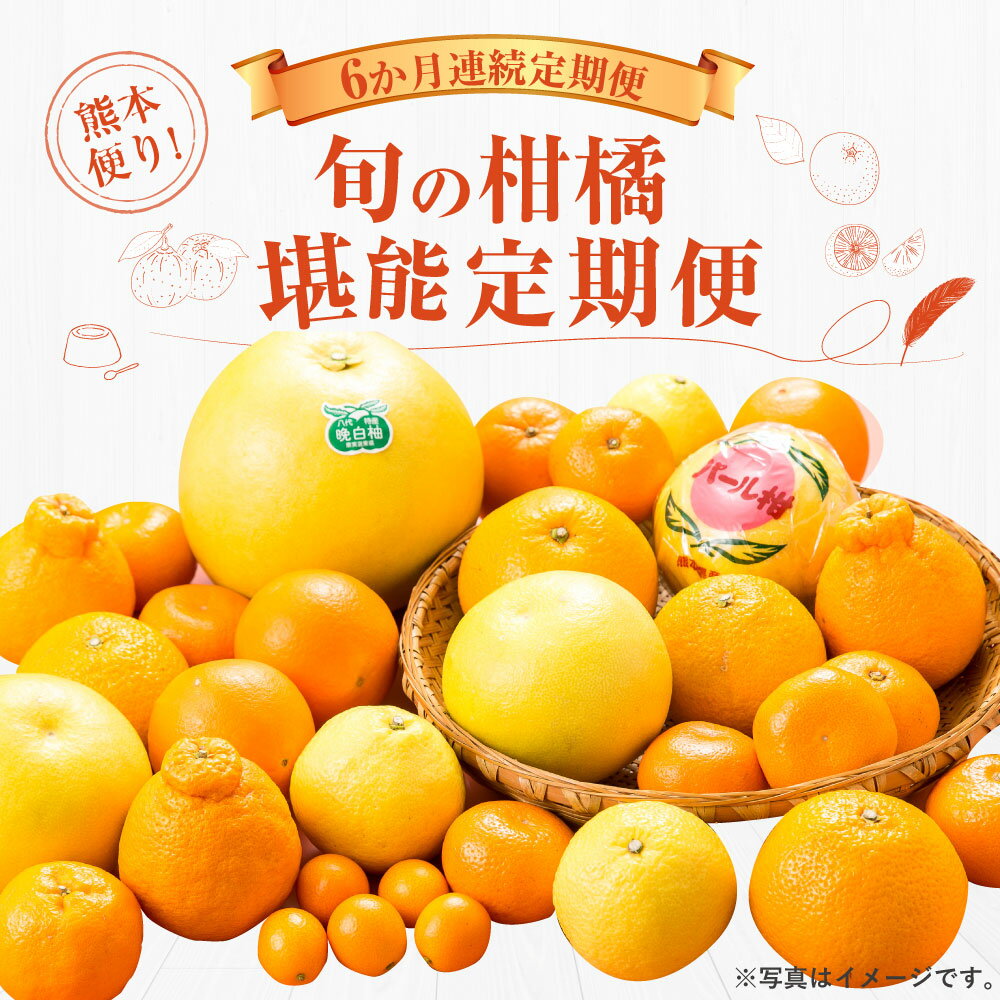 【ふるさと納税】熊本便り！旬の柑橘堪能定期便 晩白柚 完熟みかん キンカン ネーブルオレンジ スイートスプリング はるか パール柑 デコポン デコポンゼリーDX ハウスみかん 果物 フルーツ 柑橘 贈答用 定期便 【2026年1月より6か月連続発送】 サムネイル2