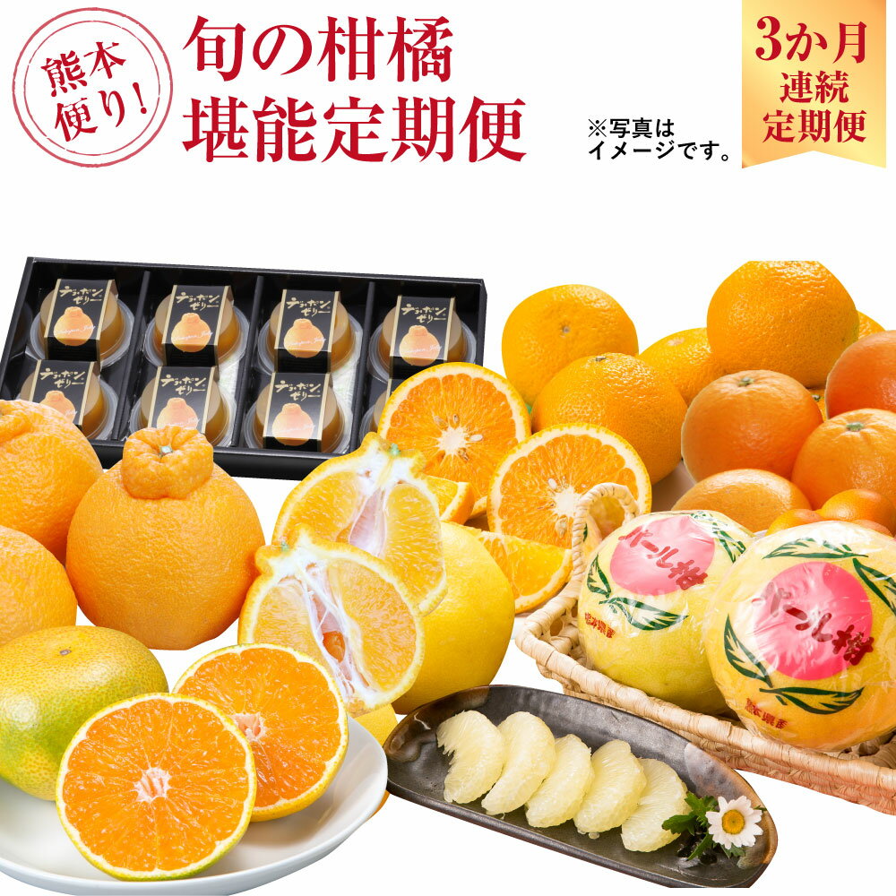 熊本便り！ 旬の柑橘堪能定期便 デコポン キンカン ネーブルオレンジ スイートスプリング はるか パール柑 デコポン デコポンゼリーDX ハウスみかん 果物 フルーツ 柑橘 贈答用 定期便 常温 【2026年1月～4月より3か月連続発送】