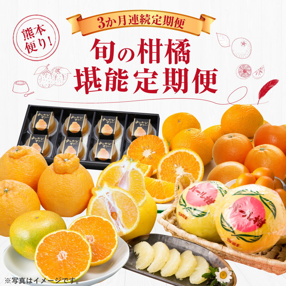 【ふるさと納税】熊本便り！ 旬の柑橘堪能定期便 デコポン キンカン ネーブルオレンジ スイートスプリング はるか パール柑 デコポン デコポンゼリーDX ハウスみかん 果物 フルーツ 柑橘 贈答用 定期便 常温 【2026年1月～4月より3か月連続発送】 サムネイル2