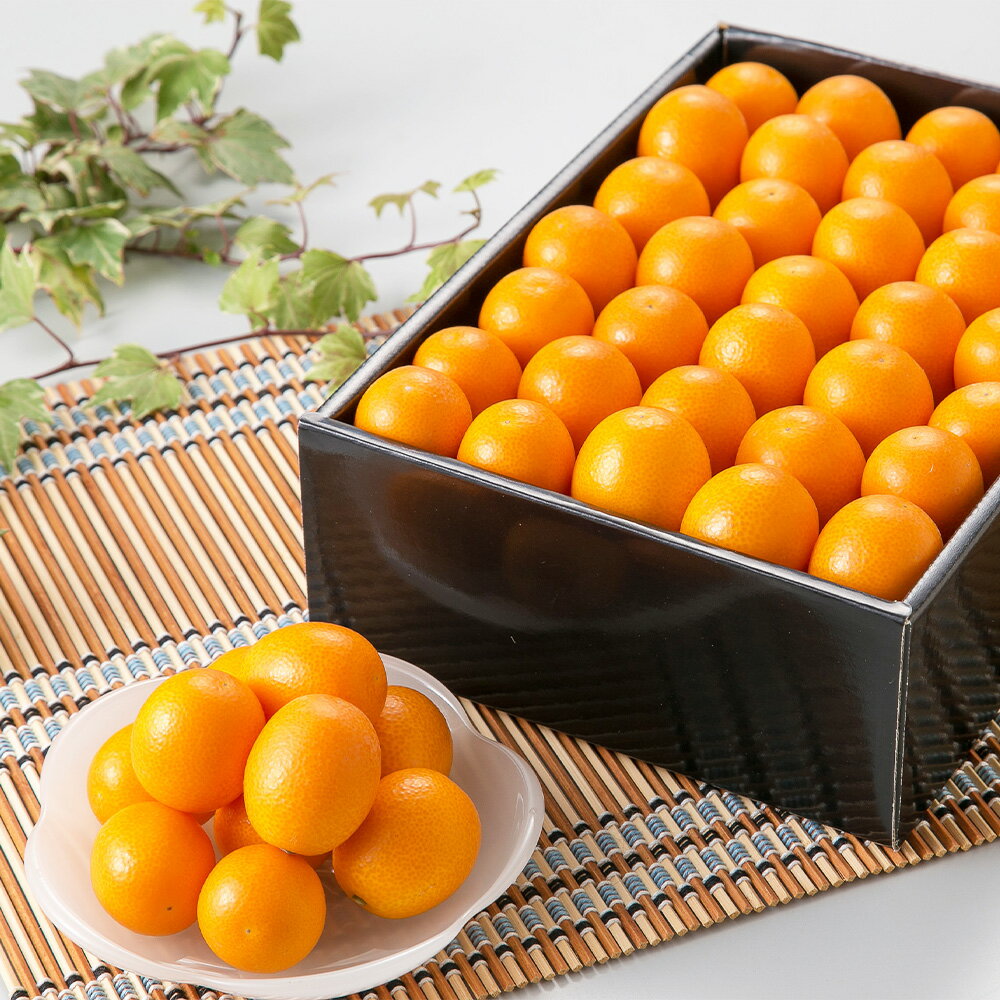 【ふるさと納税】 熊本県産 完熟 ハウスキンカン 約1.5kg 熊本 金柑 きんかん キンカン 果物 フルーツ 柑橘 高品質 ハウス栽培 完熟 贈答用 贈り物 ギフト 常温 九州 熊本県 送料無料 【2026年1月下旬発送開始】 サムネイル2