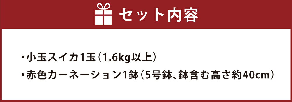 【ふるさと納税】小玉スイカ1玉とカーネーション1鉢 すいか 西瓜 果物 くだもの フルーツ 花 カーネーション 母の日 イベント ギフト プレゼント 贈り物 セット 九州 熊本県 送料無料 【2026年5月上旬以降発送（母の日）】 サムネイル2