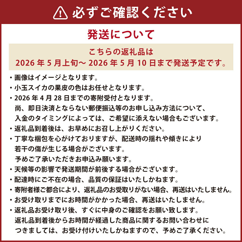 【ふるさと納税】小玉スイカ1玉とカーネーション1鉢 すいか 西瓜 果物 くだもの フルーツ 花 カーネーション 母の日 イベント ギフト プレゼント 贈り物 セット 九州 熊本県 送料無料 【2026年5月上旬以降発送（母の日）】 サムネイル3