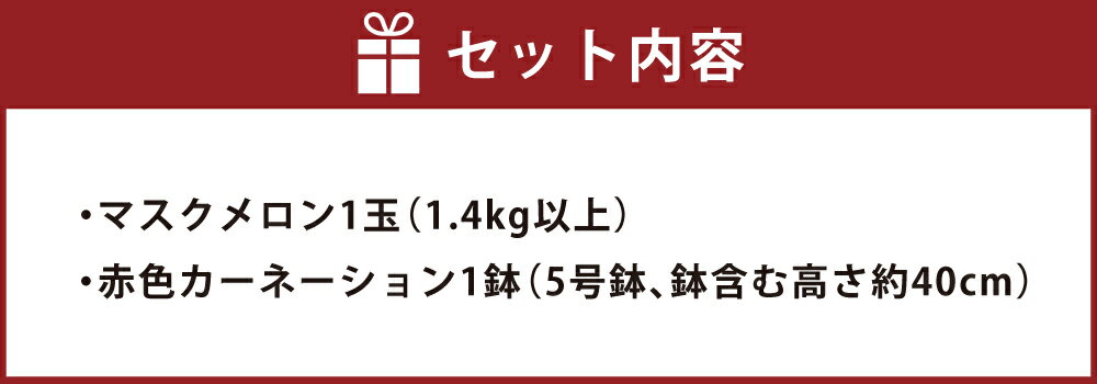 【ふるさと納税】マスクメロン1玉とカーネーション1鉢 セット メロン 果物 くだもの フルーツ 花 カーネーション 母の日 イベント ギフト プレゼント 贈り物 九州 熊本県 送料無料 【2026年5月上旬発送（母の日）】 サムネイル2