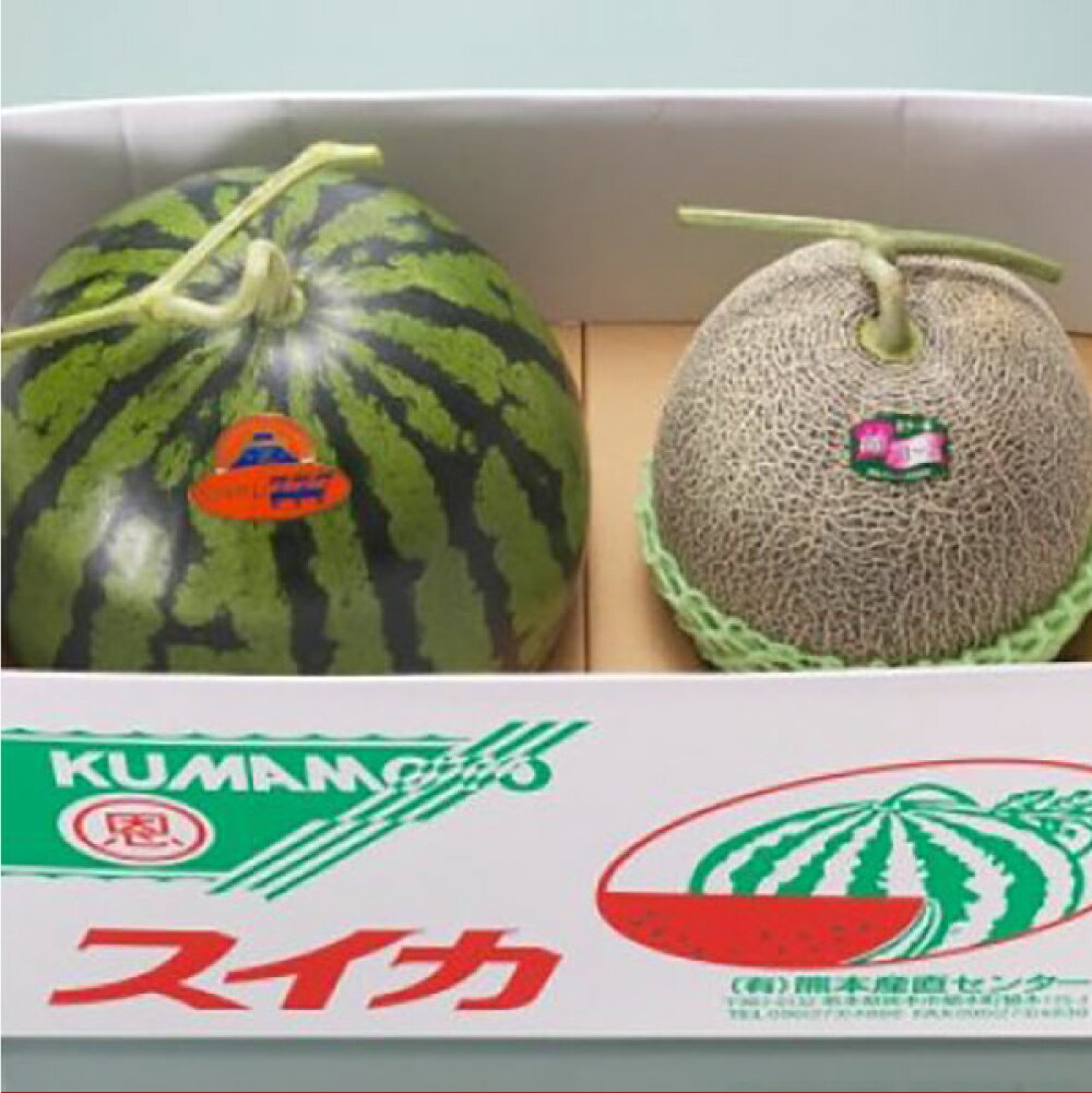 熊本県産 大玉スイカ1玉と肥後グリーンメロン1玉 合計2玉 【2026年5月上旬発送開始】 大玉西瓜 すいか スイカ メロン 果物 くだもの フルーツ 果実 セット 詰合せ 詰め合わせ 九州 熊本県 送料無料