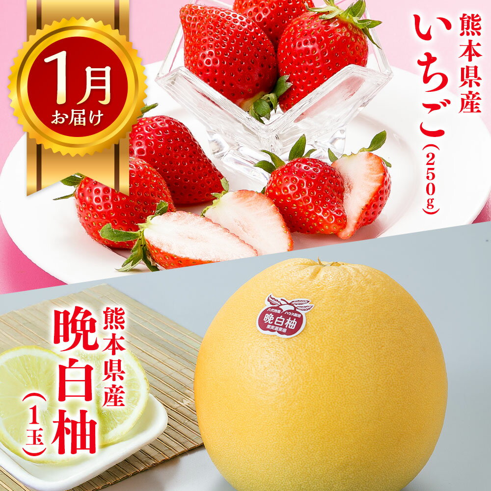 【ふるさと納税】【6か月隔月定期便】旬の熊本フルーツ 詰め合わせ 定期便 100000円 10万円 果物 くだもの フルーツ 季節 いちご 晩白柚 デコポン スイカ メロン 桃 シャインマスカット 梨 みかん 柿 セット 1年 6回 定期 国産 熊本県産 熊本 九州 熊本県 送料無料 サムネイル3